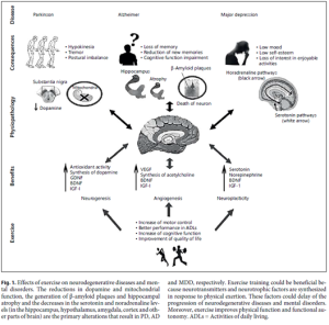 Effects of exercise on neurodegenerative diseases and mental disorders. 